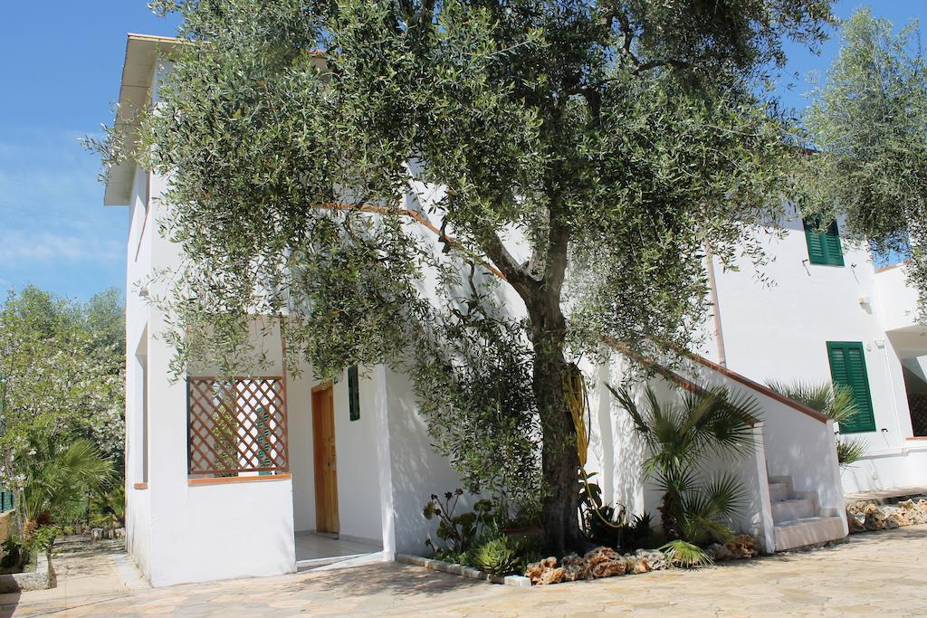 Garden Eco-holiday
