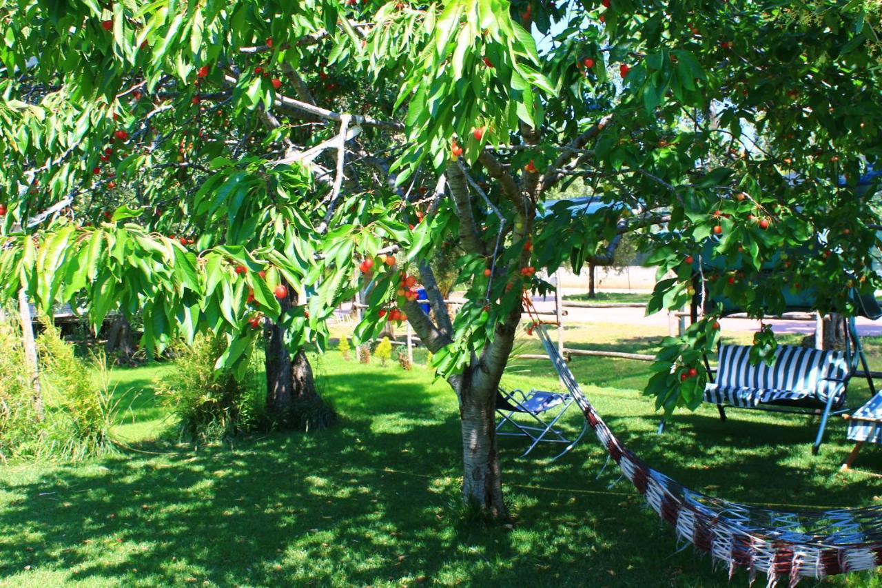 Aparthotel Garden Eco-holiday *