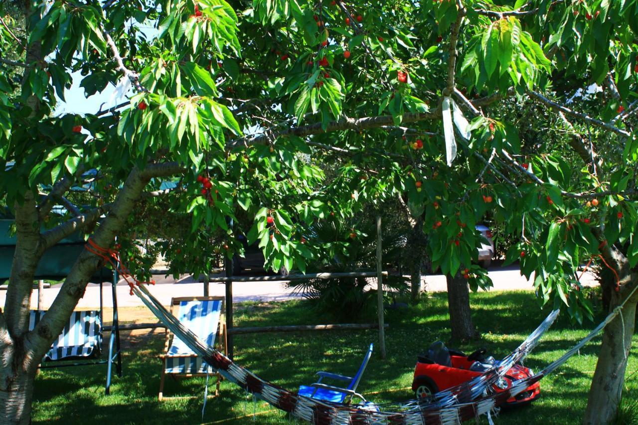 Garden Eco-holiday *