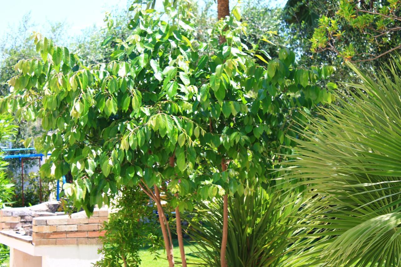 Aparthotel Garden Eco-holiday