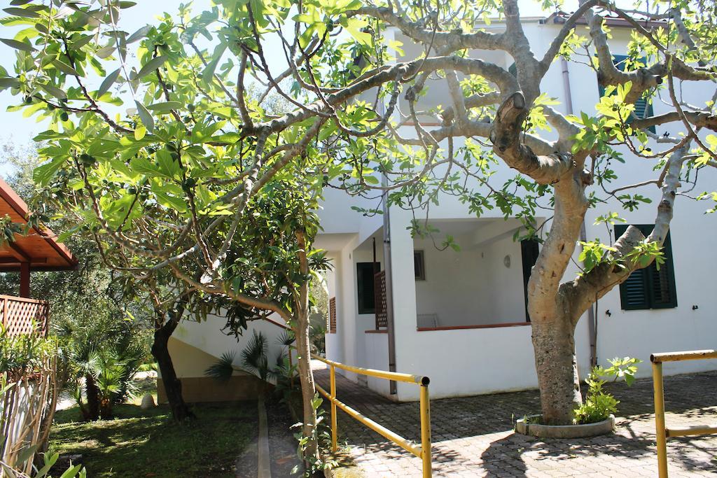 Garden Eco-holiday